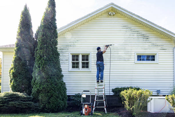 Garage Pressure Washing in Detroit Beach, MI